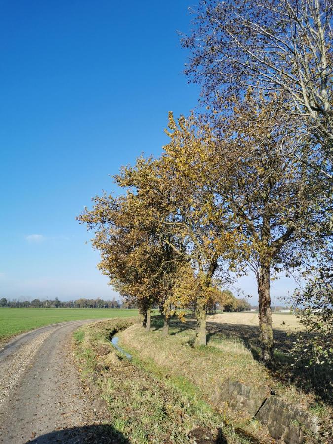 Heeser Hof - Urlaub Im Gruenen Weeze Exterior photo